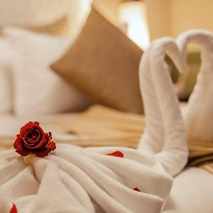 Suite Senior con Cama King